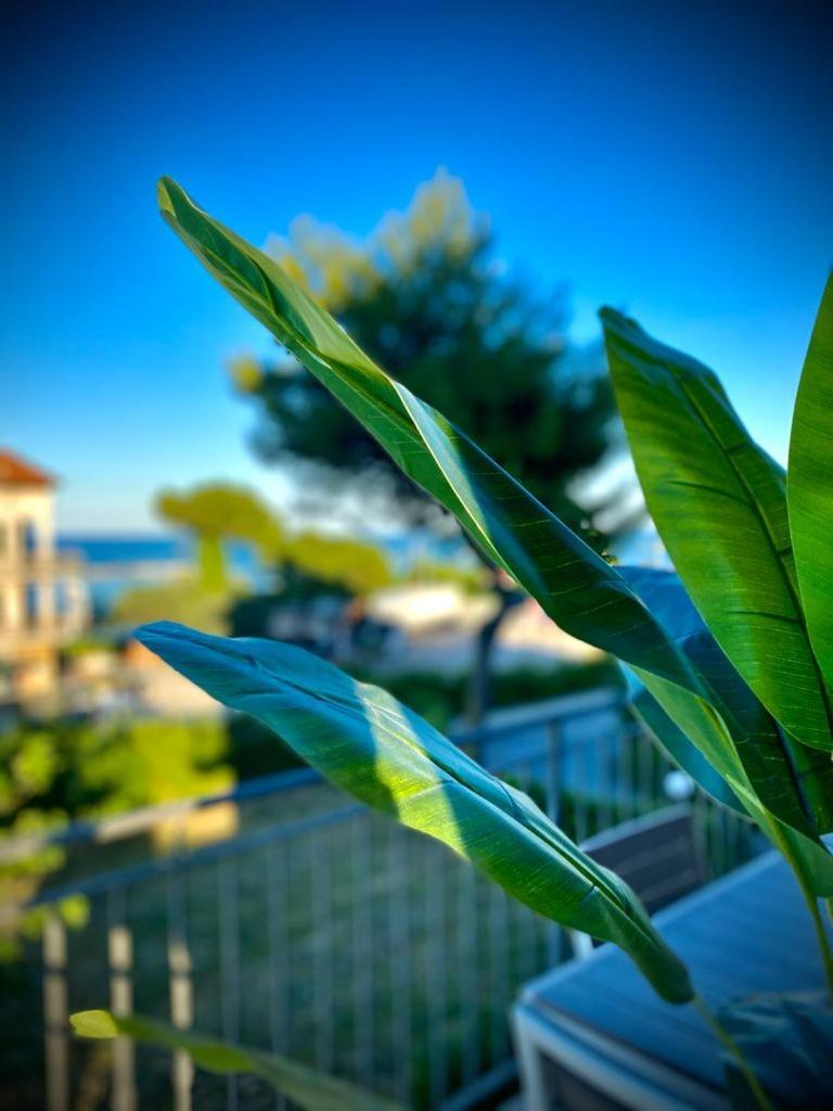 La Marinella Apartment Massignano Ruang foto